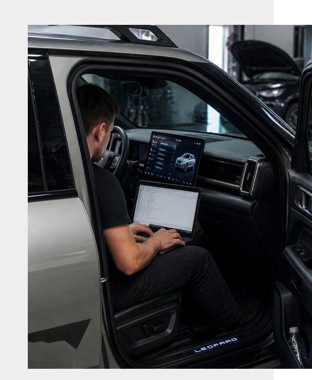 Русификация BYD Leopard 3 в Канске по цене от 21749 р. | ФастМобиль-Кнс